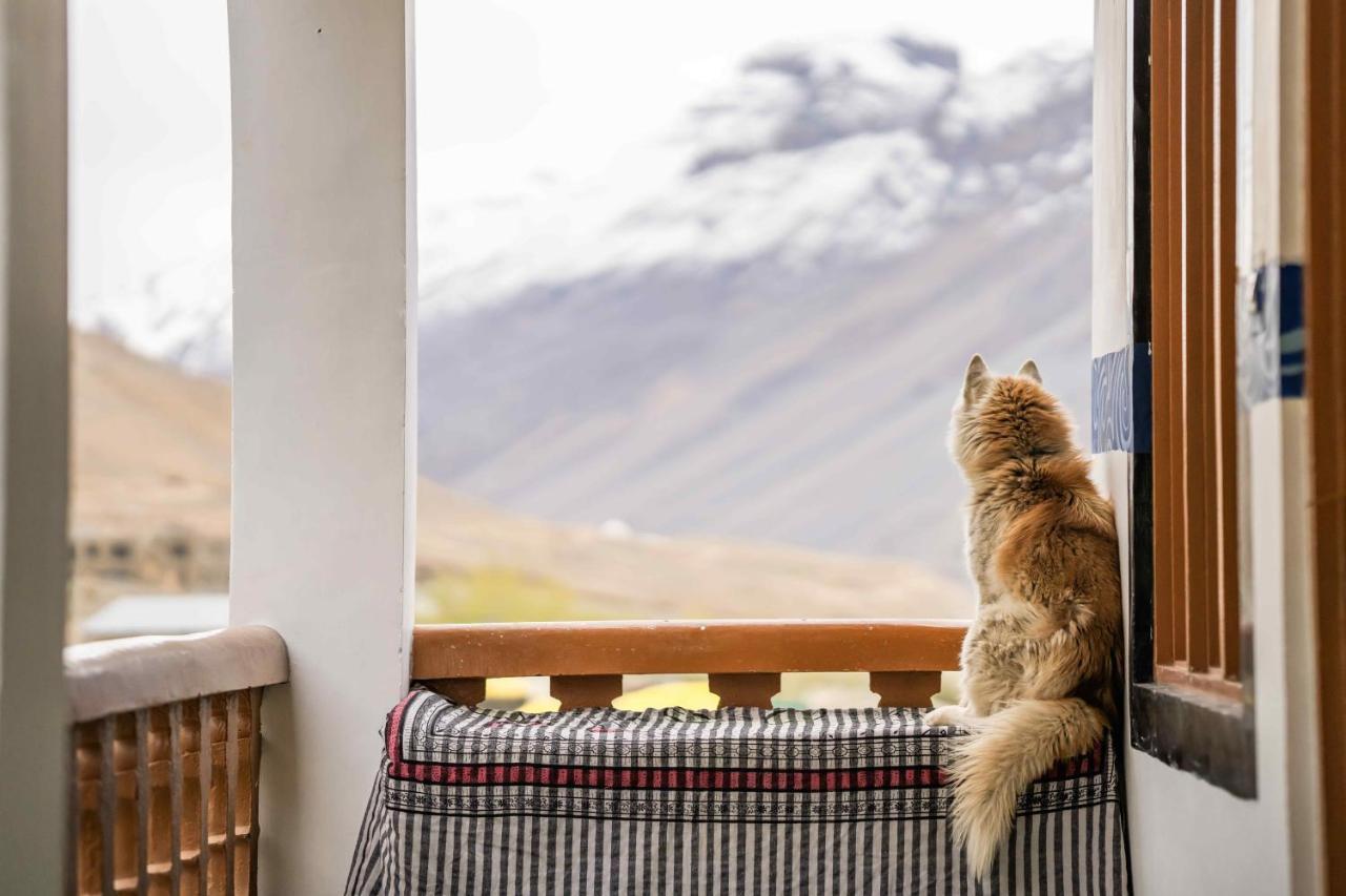 Hostel Zostel Spiti Kaza Exterior foto